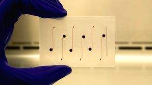 Indian-origin researcher developing vessel-chip for pharmaceutical drug testing - Vimarsana News