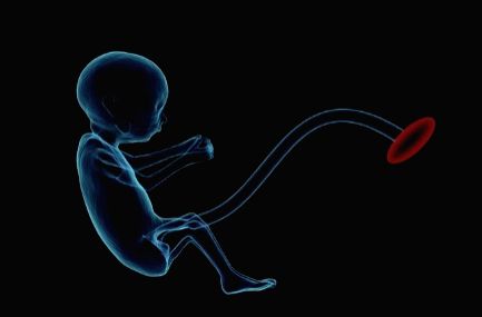 Inhaled nanoparticles can enter placenta, affect foetus: Study - Vimarsana News