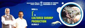 Interim Budget gives fisheries sector a booster shot with 15% hike in outlay - Vimarsana News