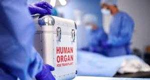 Kerala kidney racket: TN SIT probing details of donors from state - Vimarsana News
