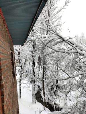 Kashmir plains receive season's first snowfall - Vimarsana News