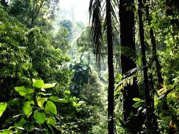 GEF funds to support next generation of conservation scientists - Vimarsana News