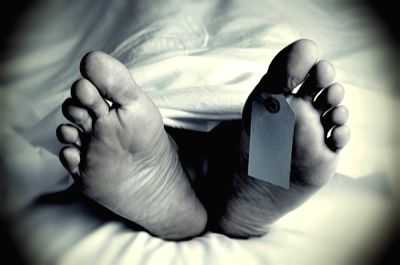 Maha hospital deaths: Bombay HC seeks health budget details - Vimarsana News