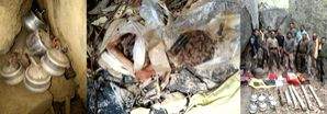 Maha police seize explosives, foil Maoists' plot to carry out blasts in Gadchiroli - Vimarsana News