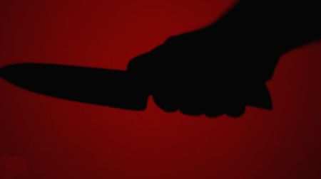 When techies turn killers: Lifting the lid on Silicon City's dark underbelly - Vimarsana News