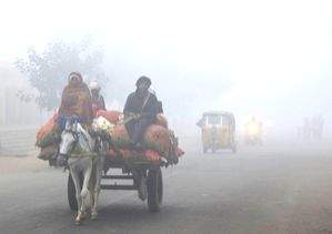 NHAI steps up safety drive on highways as fog cuts visibility - Vimarsana News