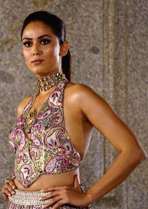 Mira Rajput sports jewellery designer Falguni Mehta's jadau for Mumbai fashion show - Vimarsana News