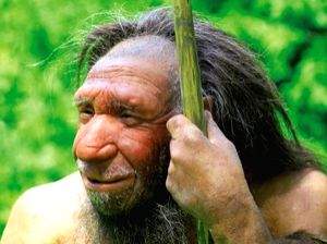 Neanderthal DNA may be making you a morning person: Study - Vimarsana News