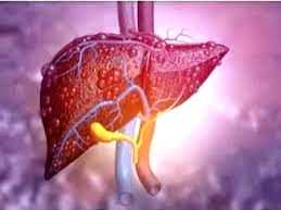 New non-invasive therapy shows promise for liver cancer patients - Vimarsana News