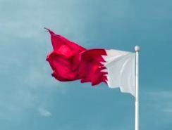Qatar sought apology over Prophet comments, appreciates BJP's action - Vimarsana News