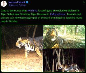 Odisha govt to set up first 'black tiger safari' - Vimarsana News