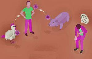 One Health approach key to predict, prevent future zoonotic outbreaks: Experts - Vimarsana News