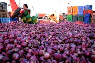 Govt directs NCCF, NAFED to start buying 5 lakh tonnes of onion directly from farmers - Vimarsana News