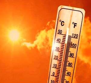 Delhi locality's 52.9 degrees C temperature reading likely due to error, IMD checking data - Vimarsana News