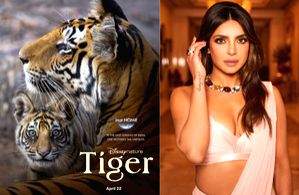 Priyanka Chopra had 'fun' exploring jungles through the film 'Tiger' - Vimarsana News