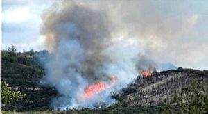 Raging wildfire forces residents to evacuate in Cyprus - Vimarsana News