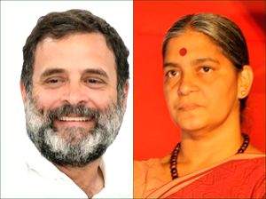 Rahul Gandhi Vs Annie Raja: Friends in Delhi, foes in Wayanad LS polls - Vimarsana News