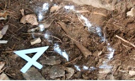 Remains of another Korean War soldier identified - Vimarsana News