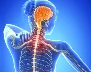 Researchers develop potential new drug treatment for multiple sclerosis - Vimarsana News