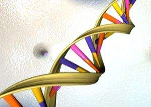 Researchers identify 275 mn new genetic variants: Study - Vimarsana News