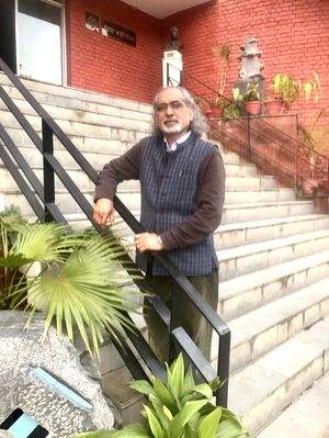 Rootedness, rootlessness & artist Kanwal Dhaliwal's varied tales - Vimarsana News