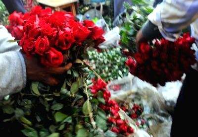 Red roses symbolize Valentine's love, but vulnerable to climate change: Report - Vimarsana News