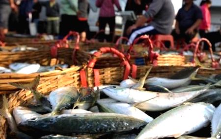 Vietnam's seafood exports feel the pinch of global slowdown - Vimarsana News