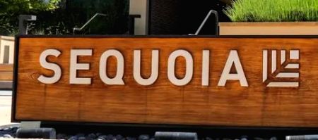 Sequoia India may invest $50 mn in homegrown edtech startup - Vimarsana News