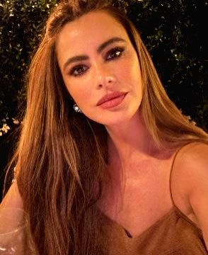 Sofia Vergara gets temporary restraining order against alleged stalker - Vimarsana News
