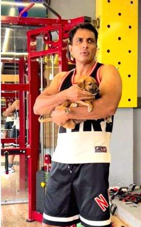 Sonu Sood introduces fans to his pawdorable gym buddy 'Pyare Mohan' - Vimarsana News