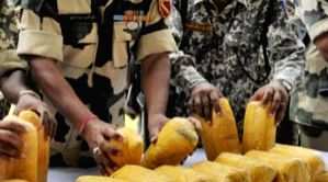 SSB seized 144.5 kg narcotics on India-Nepal border in 2023 - Vimarsana News