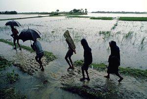 Study decodes how land conditions impact summer monsoons in Asia - Vimarsana News