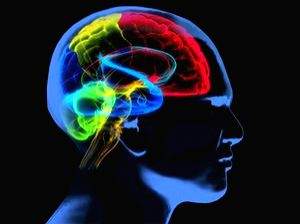 Asthma can negatively affect brain functions: Experts - Vimarsana News