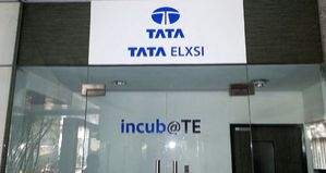 Tata Elxsi logs 13 pc revenue growth, announces 700 pc dividend for FY24 - Vimarsana News