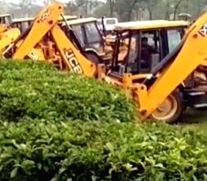 Centre got no proposal on Assam airport for which tea plants uprooted - Vimarsana News