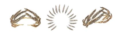 The Magnificent Jewels: the Live Auction - Vimarsana News