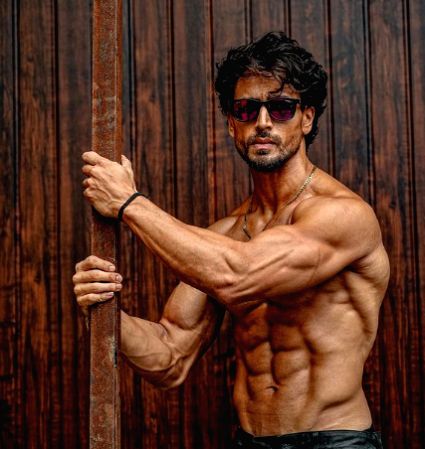 Hardik Pandya is Tiger Shroff's favourite cricketer - Vimarsana News
