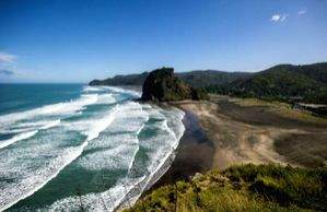 To all the beach bums: Discover New Zealand's Coastal Gems - Vimarsana News