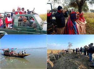 Tourist footfall, revenue earning rise at Kaziranga National Park - Vimarsana News