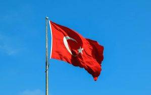 Turkey detains nine police officers over links to failed coup in 2016 - Vimarsana News