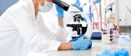 Intensive farming may actually cut future pandemic risk: Scientists - Vimarsana News