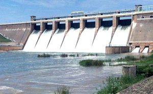 TN govt to file status report after PIL on water release from Vaigai dam to Melur - Vimarsana News