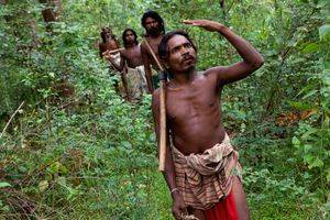 Veddas of Sri Lanka have close genetic affinity with Indians, reveals study - Vimarsana News