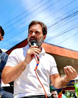 FairPoint: Rahul Gandhi's 'revolutionary' ideas may adversely impact Cong prospects - Vimarsana News