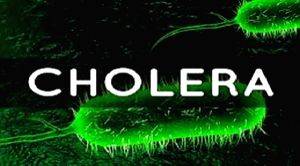Zimbabwe sees drop in cholera cases - Vimarsana News