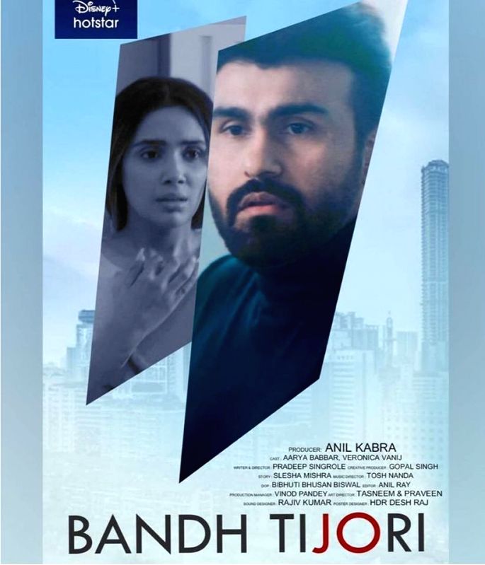Aarya Babbar: 'Bandh Tijori' is a passion project - Vimarsana News