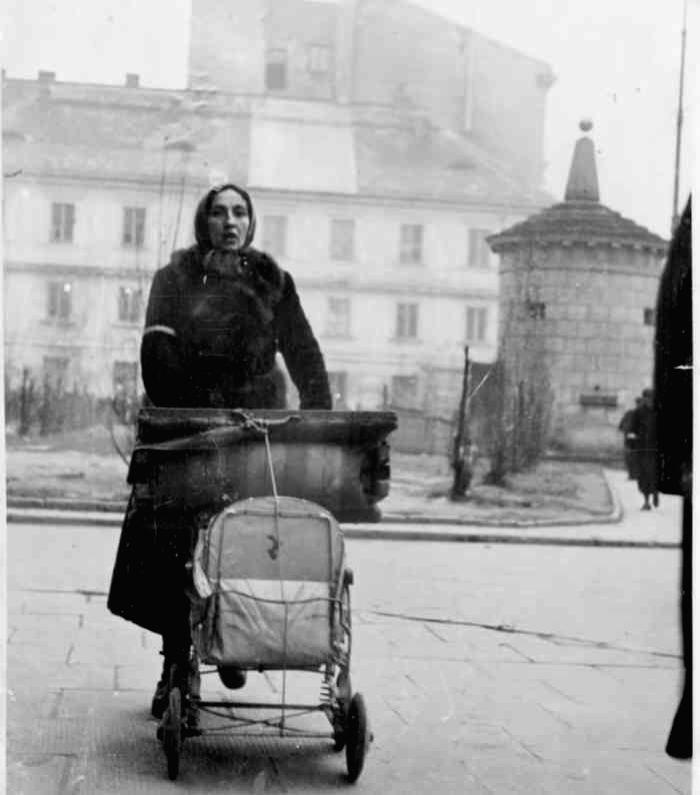 Bednarski's documentary pays homage to Jews victimised during WW II - Vimarsana News