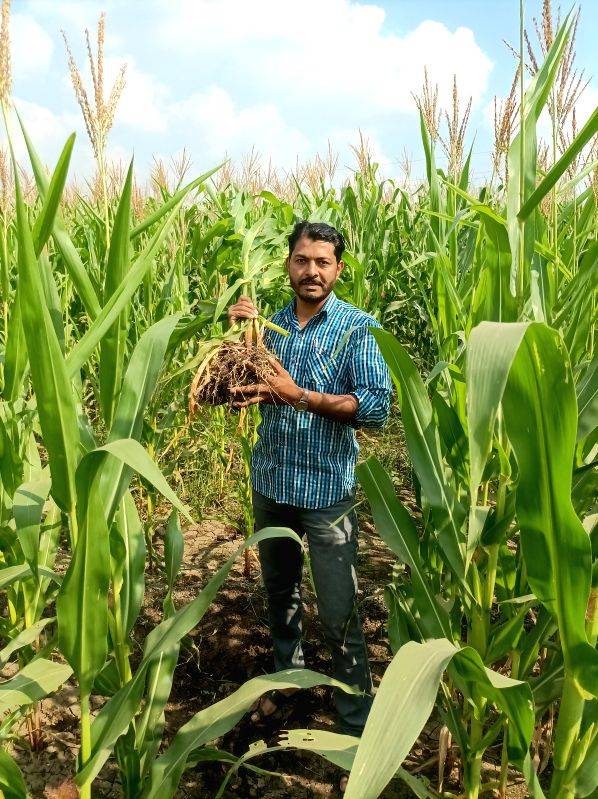 Baramati's climate crusader sounds the alarm for Maha farmers - Vimarsana News