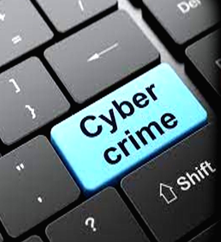 Retd forest officer in UP loses Rs 29L to cyber fraud - Vimarsana News