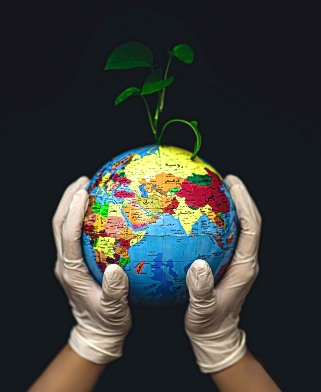 On Earth day, nature lovers warn of grave consequences of climate change - Vimarsana News